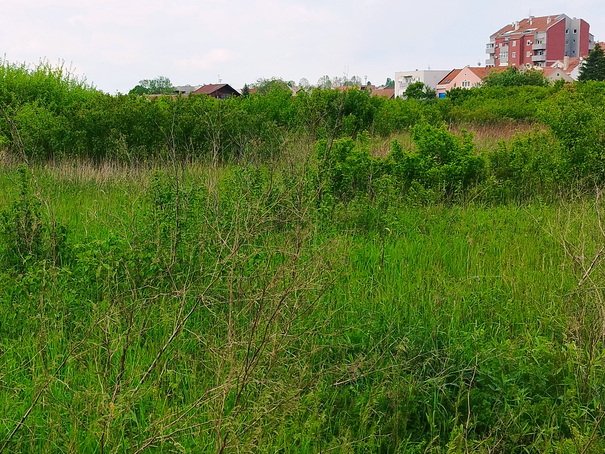 Zaputeno zemljite uz poljoprivredne povrine (Osijek,05-05-2023)